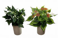 053 Veštaćke lozice   